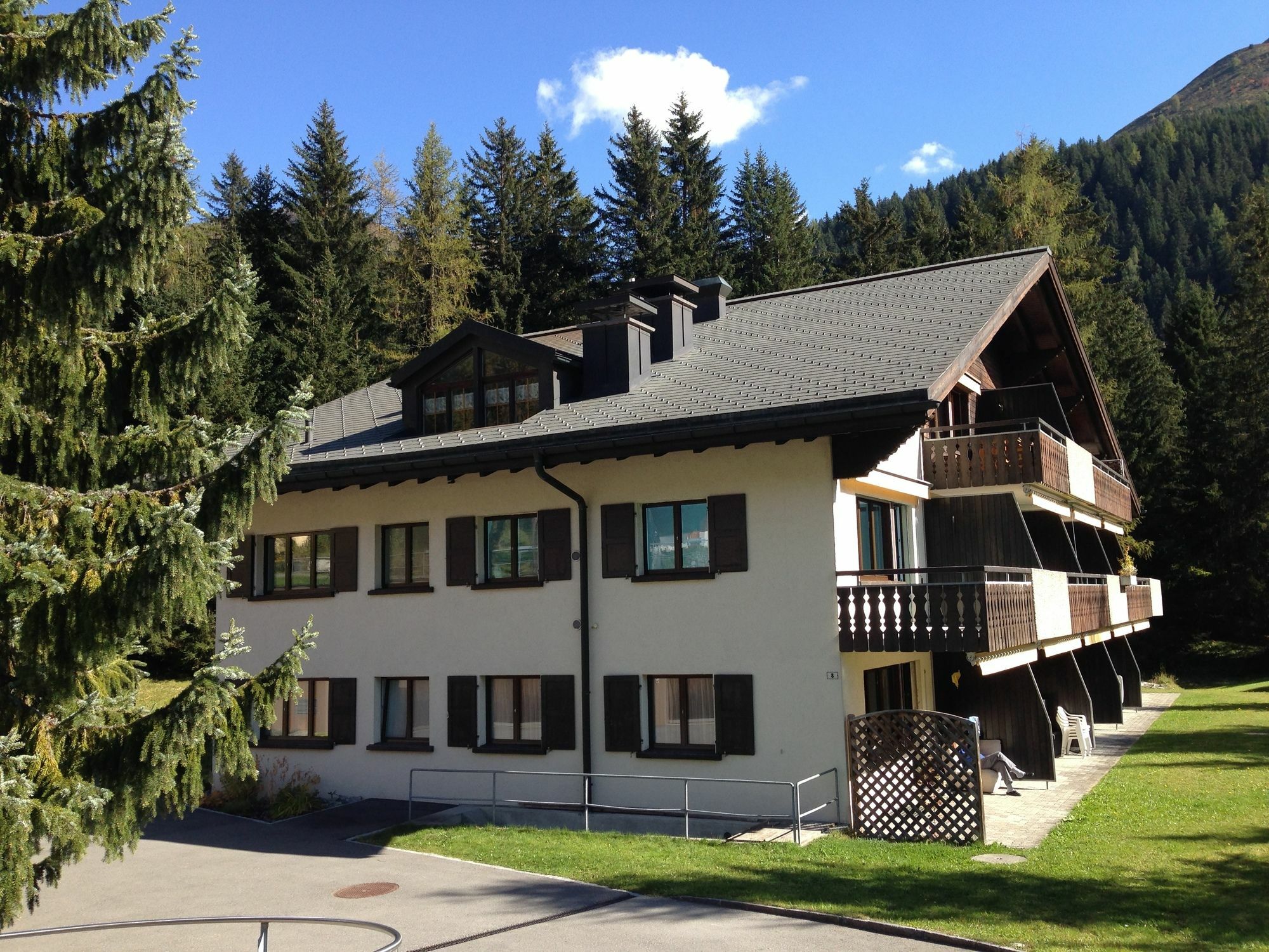 Ginseng Davos