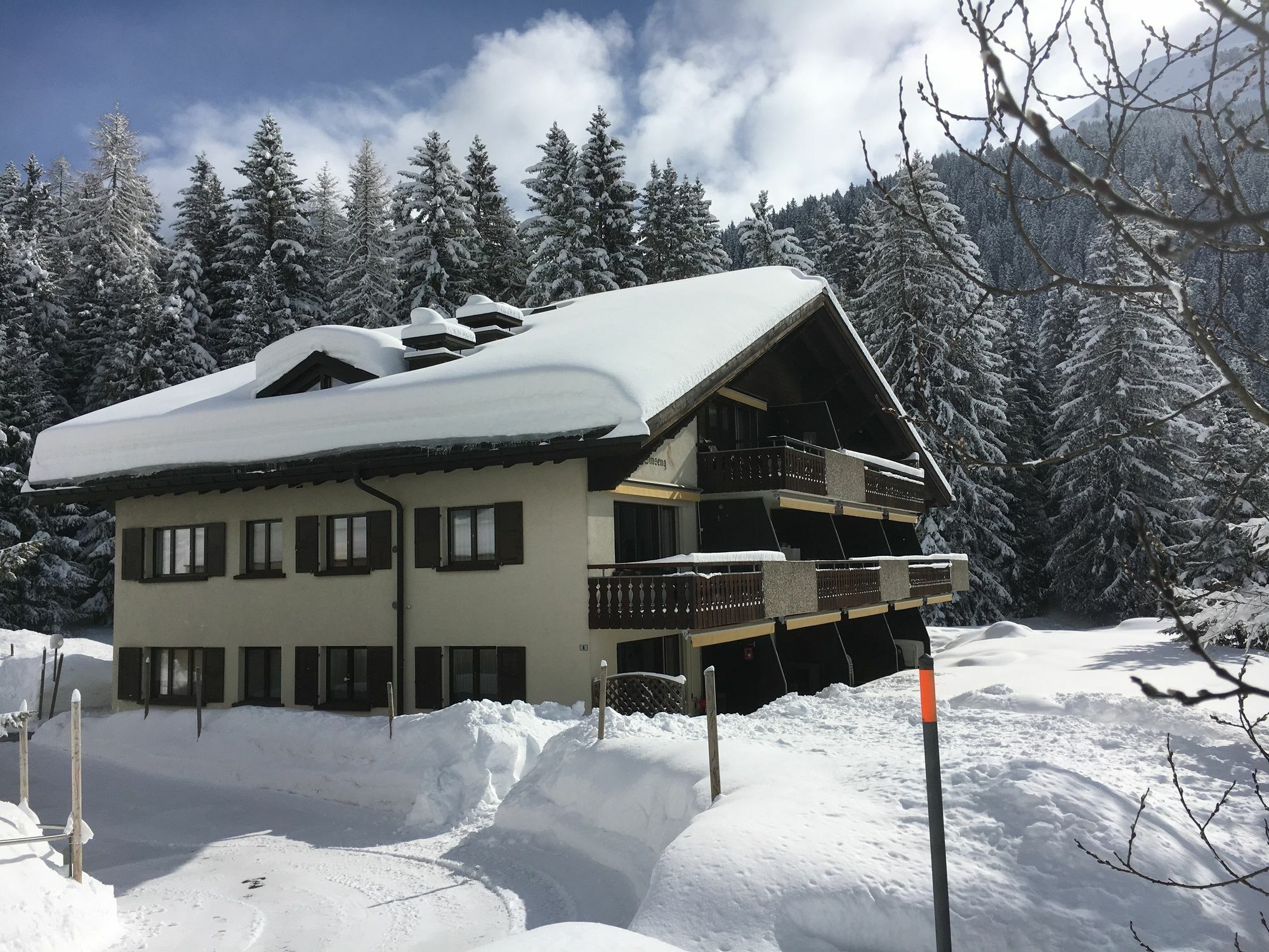 Ginseng Apartment Davos